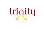 Ubiquitous Taxis agency trinity communications media logo